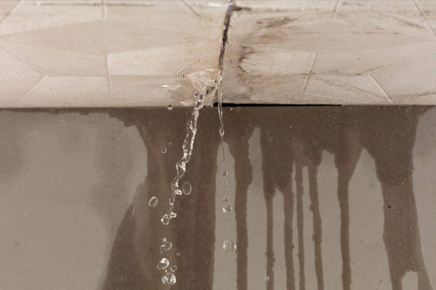 Professional Burst Pipe Cleanup technician working in Loretto, TN